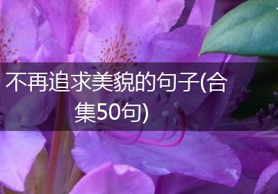 不再追求美貌的句子(合集50句)