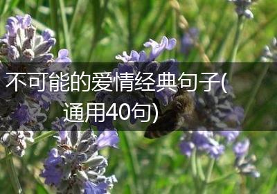 不可能的爱情经典句子(通用40句)