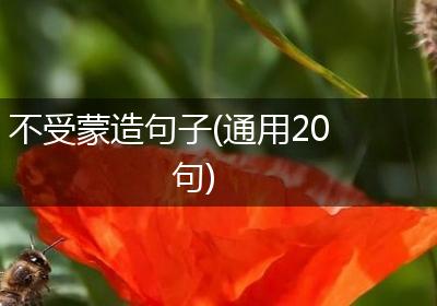 不受蒙造句子(通用20句)