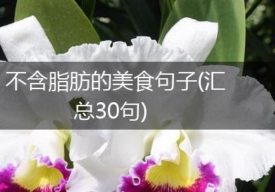 不含脂肪的美食句子(汇总30句)