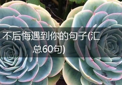 不后悔遇到你的句子(汇总60句)