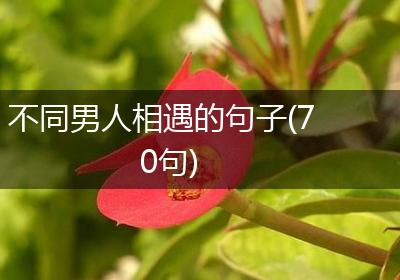 不同男人相遇的句子(70句)
