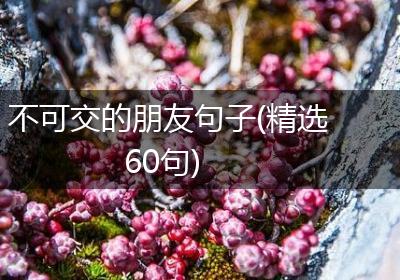 不可交的朋友句子(精选60句)