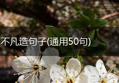 不凡造句子(通用50句)