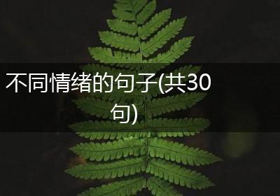 不同情绪的句子(共30句)