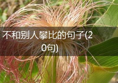 不和别人攀比的句子(20句)