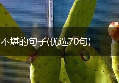 不堪的句子(优选70句)
