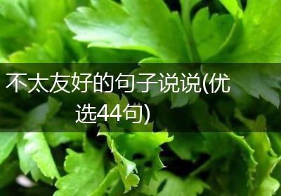 不太友好的句子说说(优选44句)
