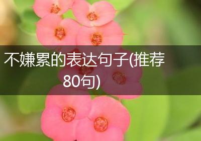 不嫌累的表达句子(推荐80句)