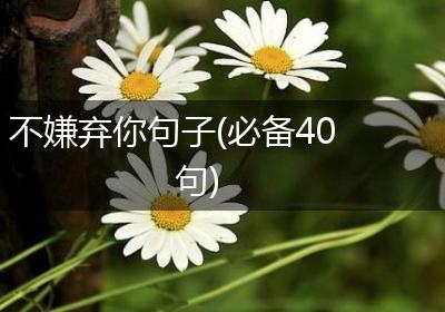 不嫌弃你句子(必备40句)
