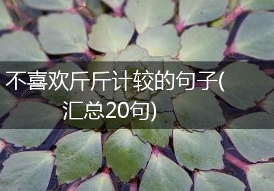 不喜欢斤斤计较的句子(汇总20句)