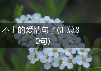 不土的爱情句子(汇总80句)