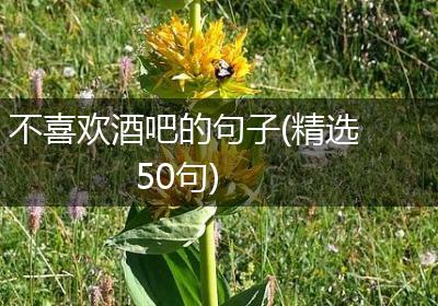 不喜欢酒吧的句子(精选50句)