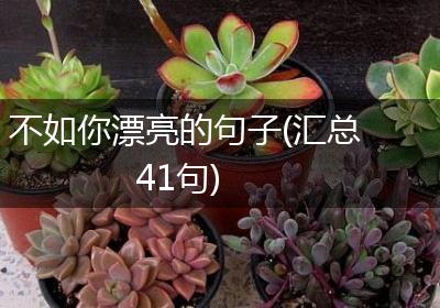 不如你漂亮的句子(汇总41句)