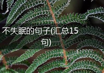 不失眠的句子(汇总15句)