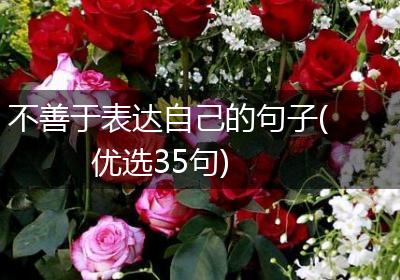 不善于表达自己的句子(优选35句)