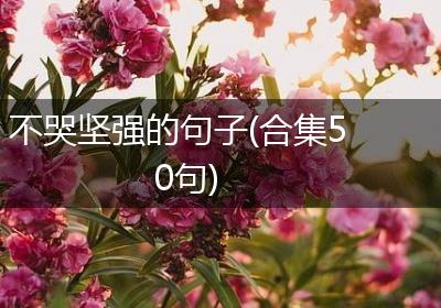 不哭坚强的句子(合集50句)
