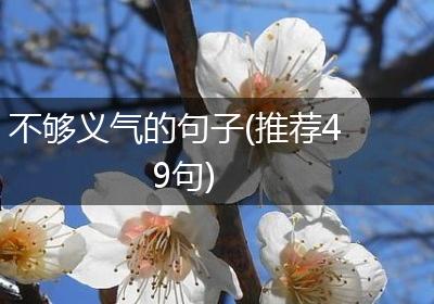 不够义气的句子(推荐49句)