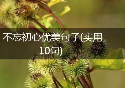 不忘初心优美句子(实用10句)