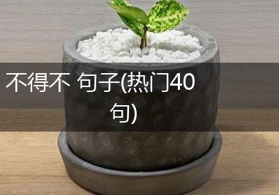 不得不 句子(热门40句)