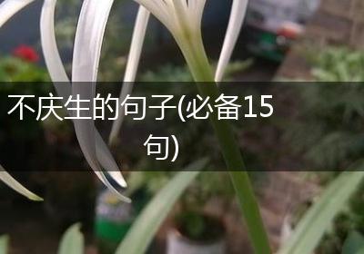 不庆生的句子(必备15句)