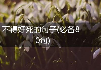 不得好死的句子(必备80句)