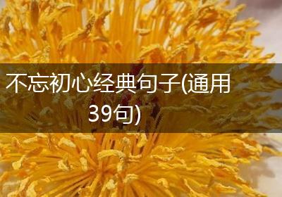 不忘初心经典句子(通用39句)