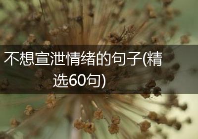 不想宣泄情绪的句子(精选60句)