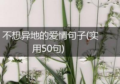 不想异地的爱情句子(实用50句)