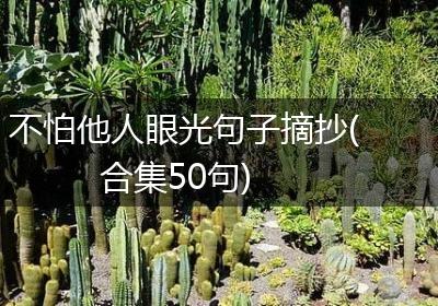 不怕他人眼光句子摘抄(合集50句)