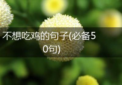 不想吃鸡的句子(必备50句)