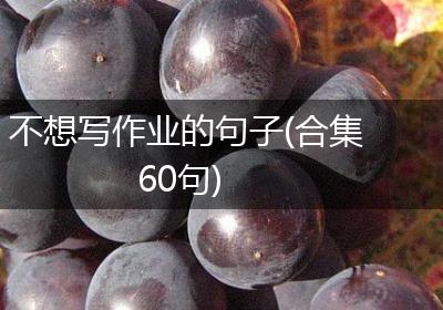 不想写作业的句子(合集60句)