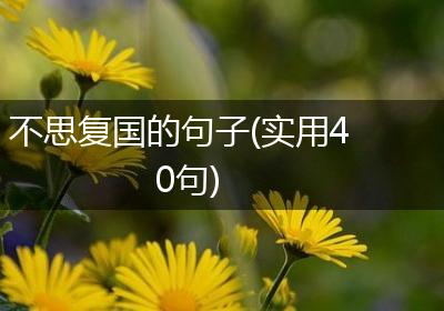 不思复国的句子(实用40句)