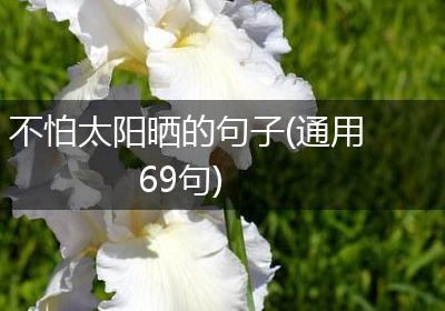 不怕太阳晒的句子(通用69句)