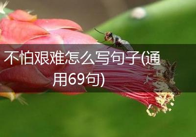 不怕艰难怎么写句子(通用69句)