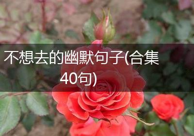 不想去的幽默句子(合集40句)