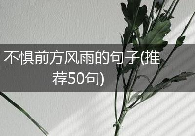 不惧前方风雨的句子(推荐50句)