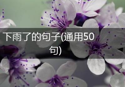 下雨了的句子(通用50句)