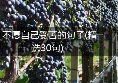 不愿自己受苦的句子(精选30句)