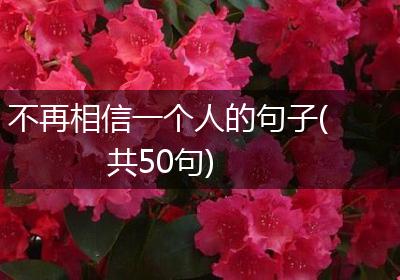不再相信一个人的句子(共50句)