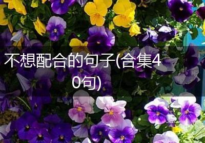 不想配合的句子(合集40句)