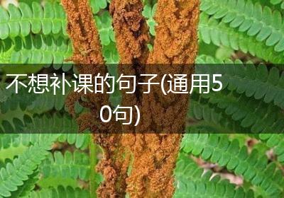 不想补课的句子(通用50句)