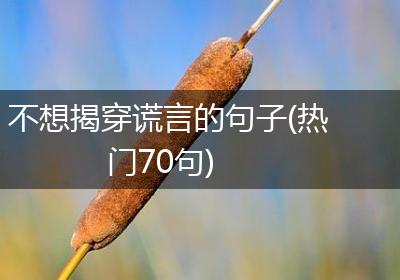 不想揭穿谎言的句子(热门70句)
