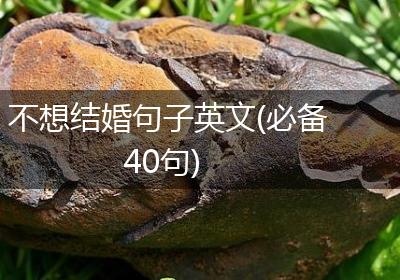 不想结婚句子英文(必备40句)