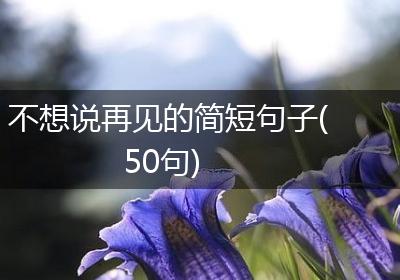 不想说再见的简短句子(50句)