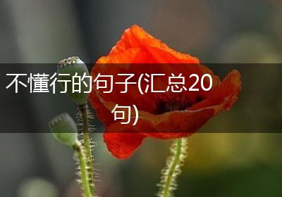不懂行的句子(汇总20句)