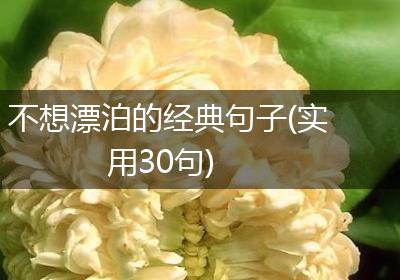 不想漂泊的经典句子(实用30句)