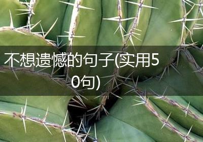 不想遗憾的句子(实用50句)