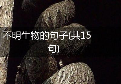 不明生物的句子(共15句)