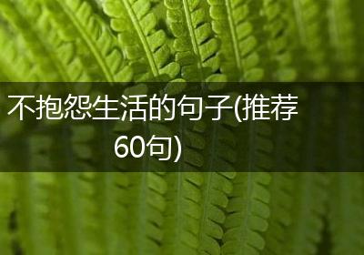 不抱怨生活的句子(推荐60句)